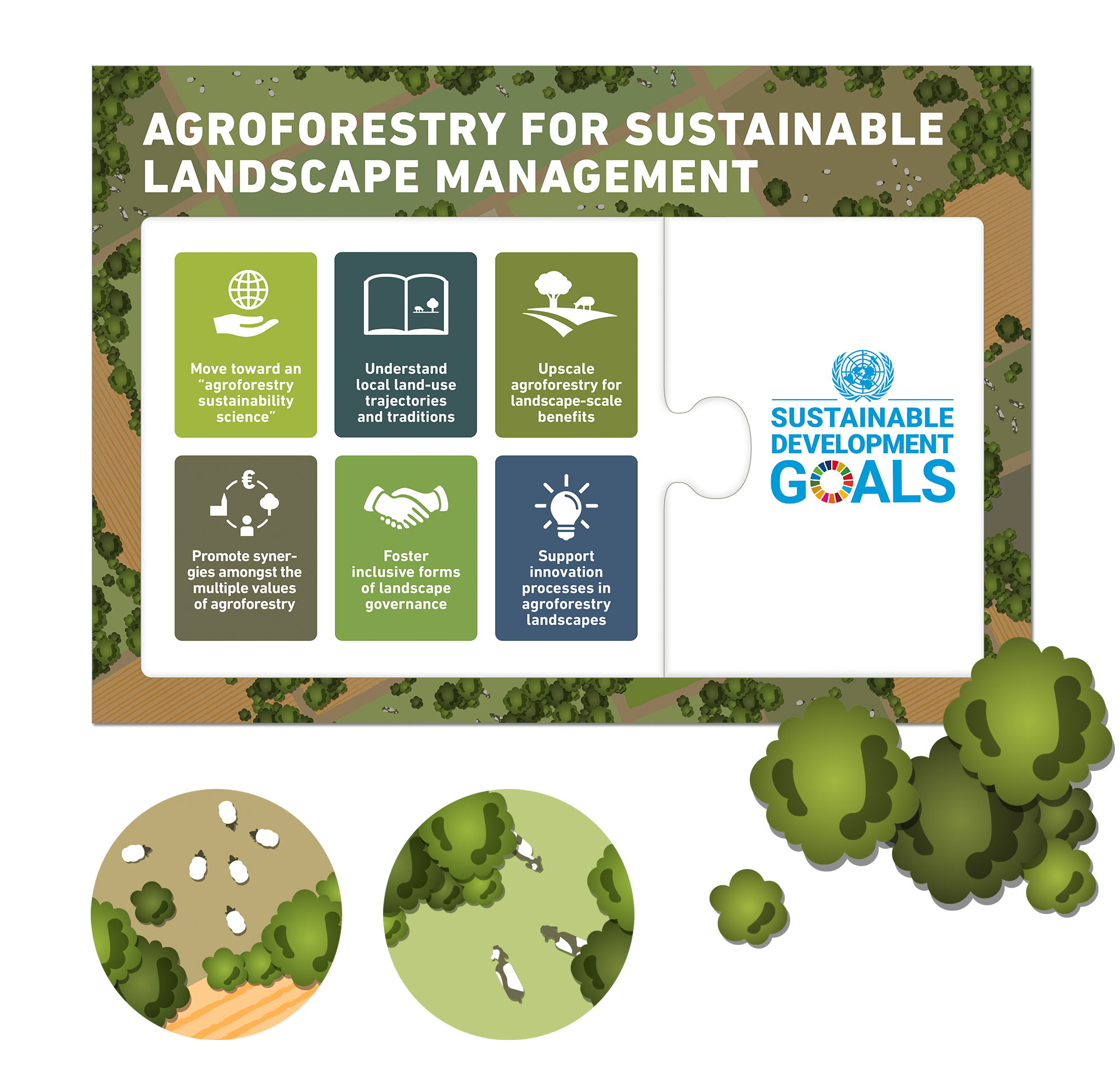 Illustration einer Infografik zum Thema Agroforstwirtschaft für eine nachhaltige Landschaftspflege (Agroforestry for Sustainable Landscape Management)